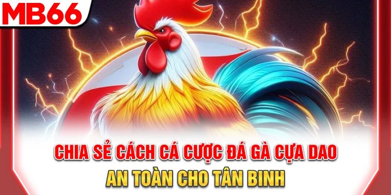 Đá Gà Cựa Dao: Luật Chơi Chi Tiết Và Bí Quyết Thắng Lớn 2026 11 Chia sẻ cách cá cược đá gà cựa dao an toàn cho tân binh