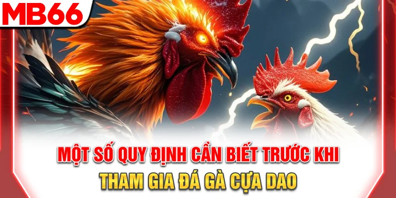 Đá Gà Cựa Dao: Luật Chơi Chi Tiết Và Bí Quyết Thắng Lớn 2026 8 Một số quy định cần biết trước khi tham gia đá gà cựa dao