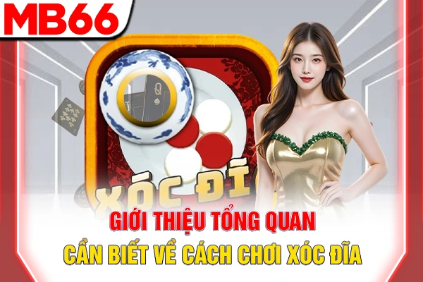 Cách Chơi Xóc Đĩa Chuẩn Nhất 2026 Dành Cho Newbie 5 Giới thiệu tổng quan cần biết về cách chơi xóc đĩa