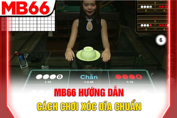 Cách Chơi Xóc Đĩa Chuẩn Nhất 2026 Dành Cho Newbie 6 MB66 hướng dẫn cách chơi xóc đĩa chuẩn